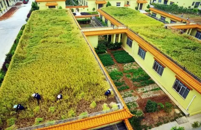 做農(nóng)業(yè)，這幾種高效生態(tài)農(nóng)業(yè)模式你必須知道