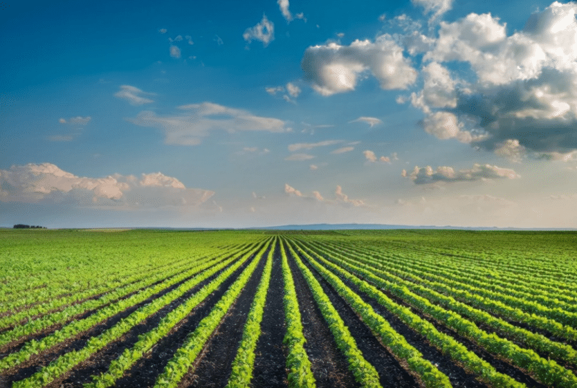 振興鄉村:大力發展智慧農業,智慧農業迎來春天