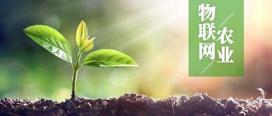 農(nóng)業(yè)物聯(lián)網(wǎng)