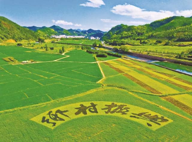 智能農(nóng)業(yè)