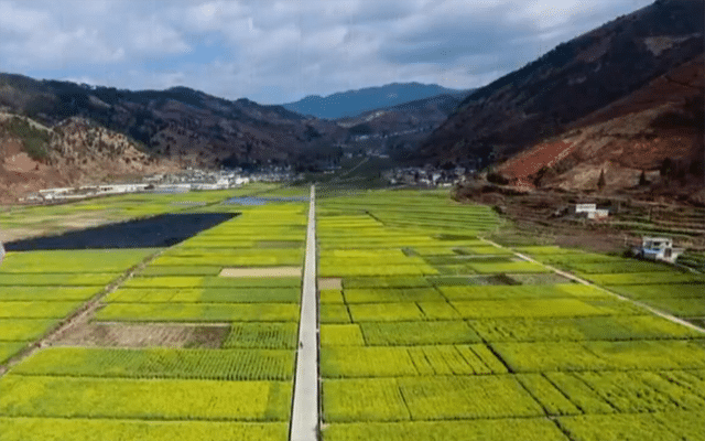 農業氣象站的作用 農業氣象站的作用