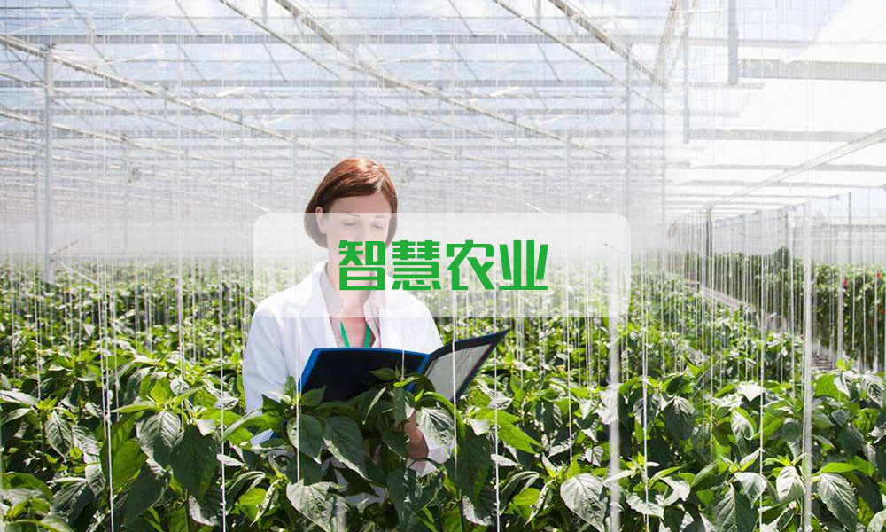 智慧農(nóng)業(yè)