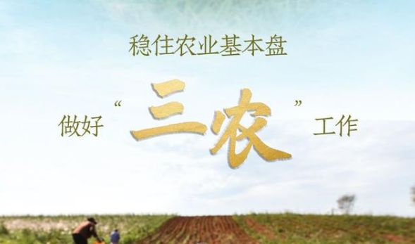 三農工作