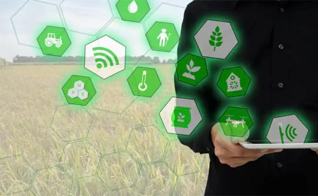 水肥一體化系統(tǒng)