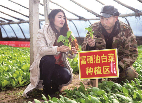 無公害富硒蔬菜生產基地