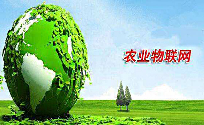 智慧農業與物聯網之間的關系