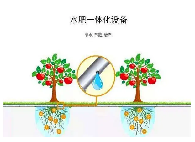 水肥一體化系統給農業種植帶來多少便捷