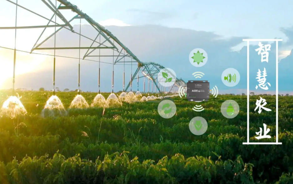 贛州全面開展農(nóng)業(yè)物聯(lián)網(wǎng)應(yīng)用試點示范