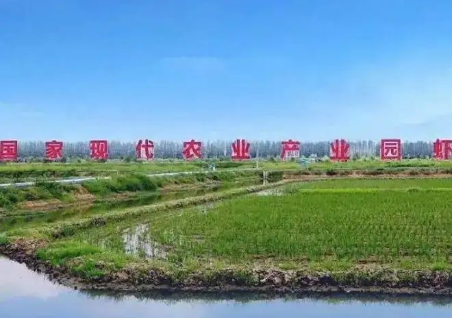 稻栽培標準化示范區