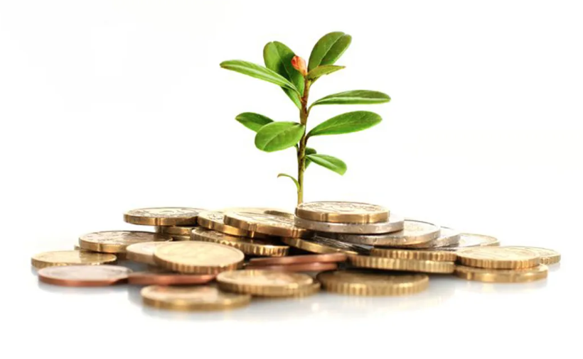 河北省級(jí)財(cái)政提前下達(dá)農(nóng)業(yè)轉(zhuǎn)移支付項(xiàng)目資金455115萬元