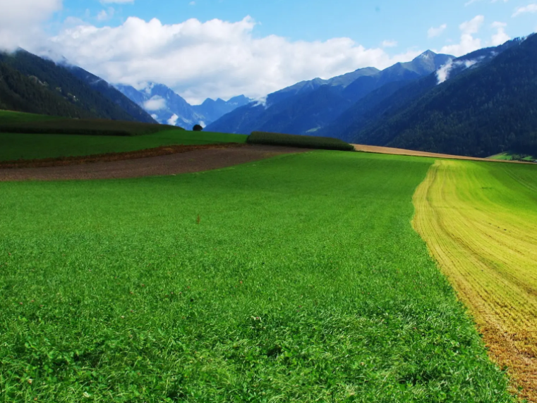 農作物生長監測