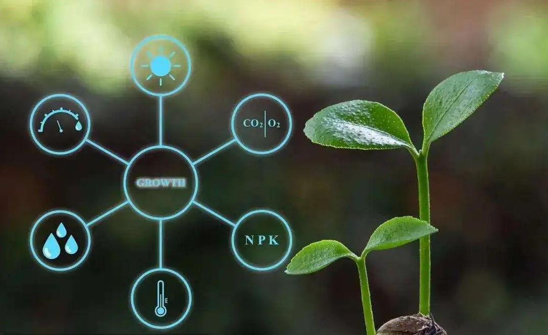 廣西九措施保農(nóng)業(yè)產(chǎn)業(yè)鏈供應(yīng)鏈穩(wěn)定