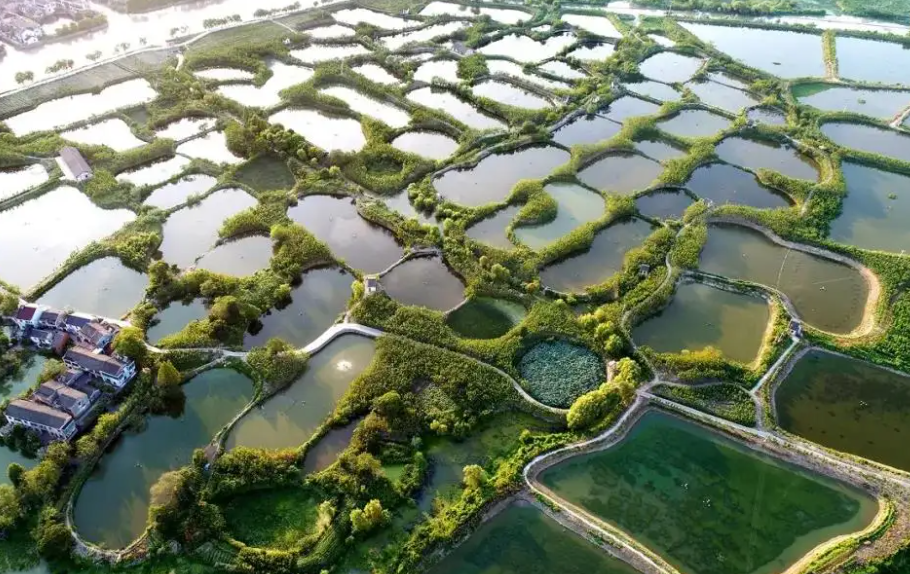 河北首次承擔(dān)國家漁業(yè)綠色循環(huán)發(fā)展試點項目