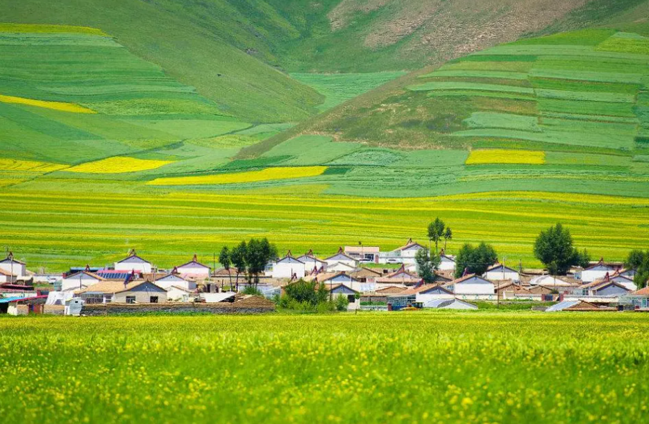 農(nóng)業(yè)農(nóng)村現(xiàn)代化