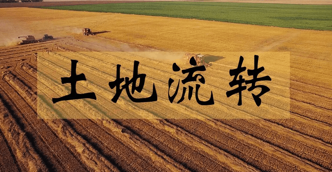 土地流轉(zhuǎn)“轉(zhuǎn)”出鄉(xiāng)村振興新“生機”