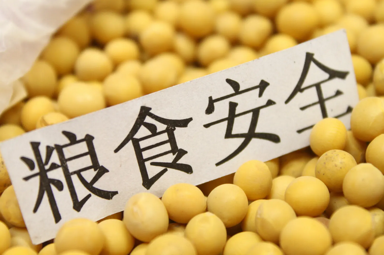 河南南陽(yáng)鄧州：扛穩(wěn)糧食安全重任