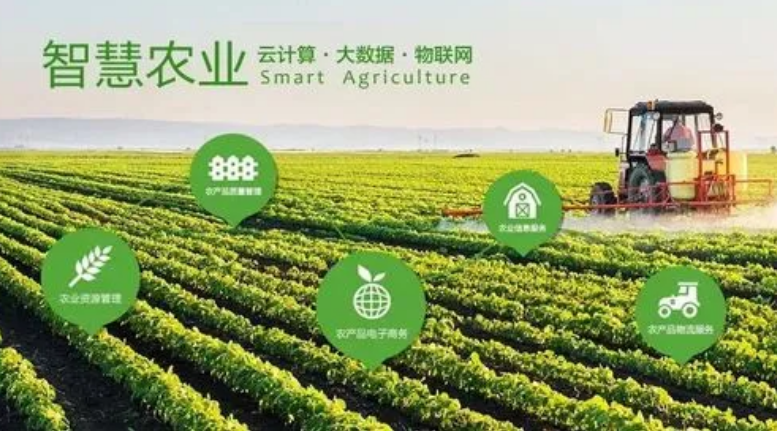 90后”女大學生投身智慧農業