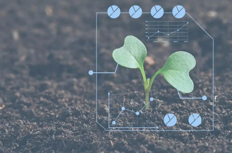 智慧農(nóng)業(yè)研究進展:智能識別農(nóng)業(yè)環(huán)境小目標