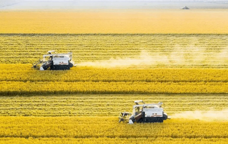 聚焦農機安全使用，全力保障“三夏”生產