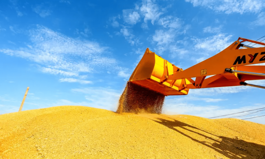 機(jī)收保障有力，天氣條件有利——河南夏糧豐收底氣足