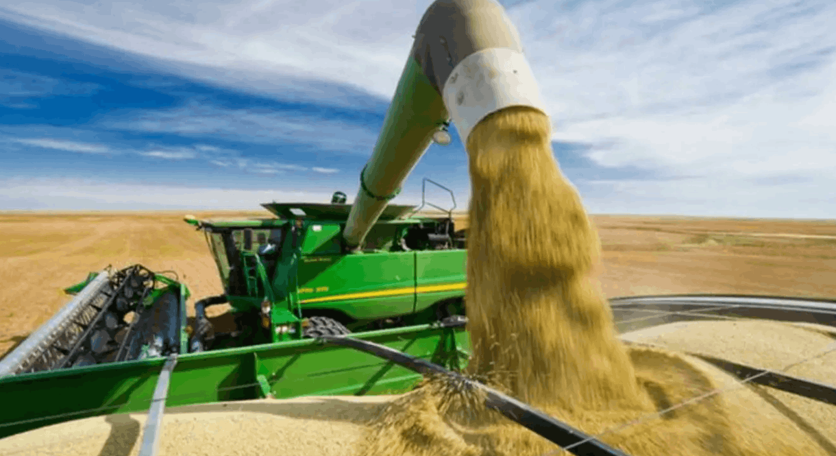 無人農(nóng)場收麥忙