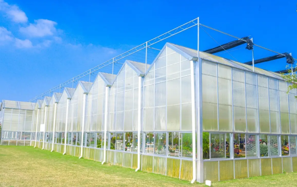 天津設(shè)施農(nóng)業(yè)成交規(guī)模達(dá)1.77億