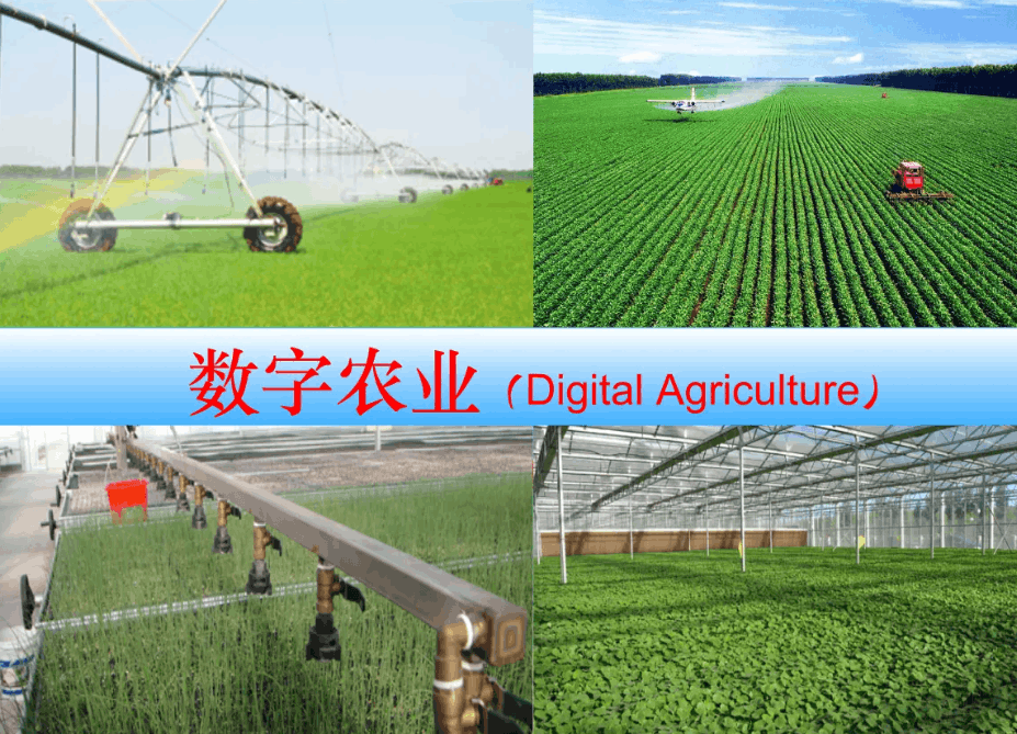 大邑打造四川數(shù)字化農(nóng)業(yè)“標(biāo)桿”