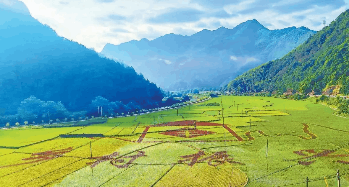 天津鄉(xiāng)村振興產(chǎn)業(yè)人才創(chuàng)新創(chuàng)業(yè)聯(lián)盟成立