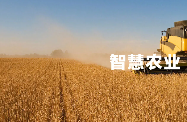 數(shù)字鄉(xiāng)村百?gòu)?qiáng)縣 智慧農(nóng)業(yè)獲推進(jìn)