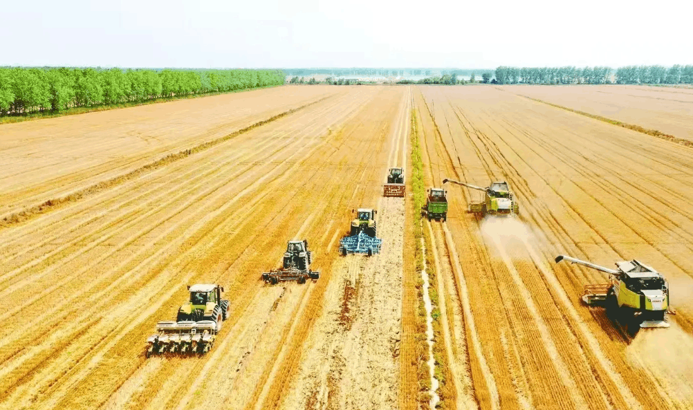 規模化 集約化 機械化 專業化——吉林省農民合作社高質量發展紀事