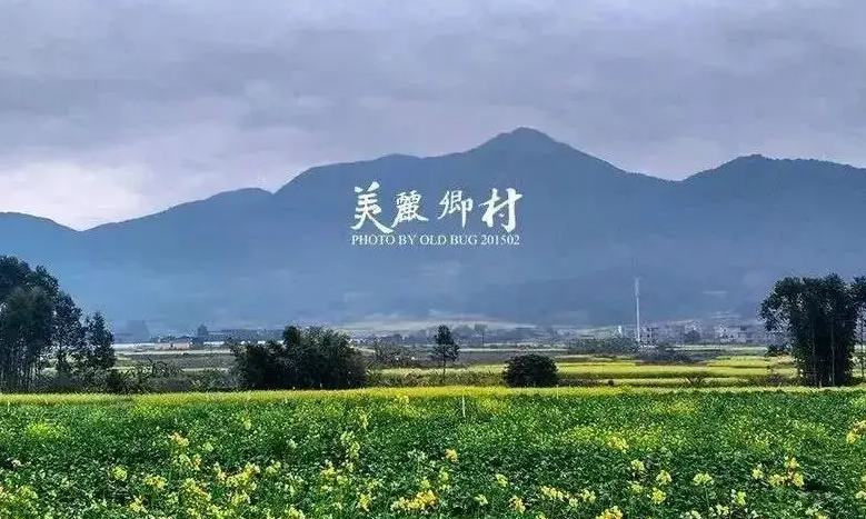 重慶建設清風鄉村 深化基層治理