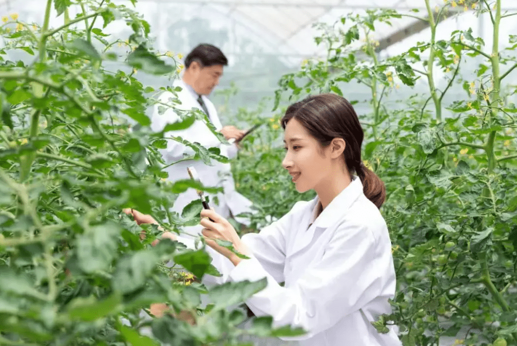 來安：農(nóng)技課堂送來“致富經(jīng)”