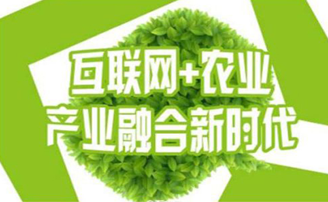 互聯網+農業,智慧農業未來的發展模式