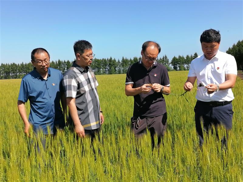 農(nóng)場(chǎng)科技服務(wù)中心主任姜紅宇