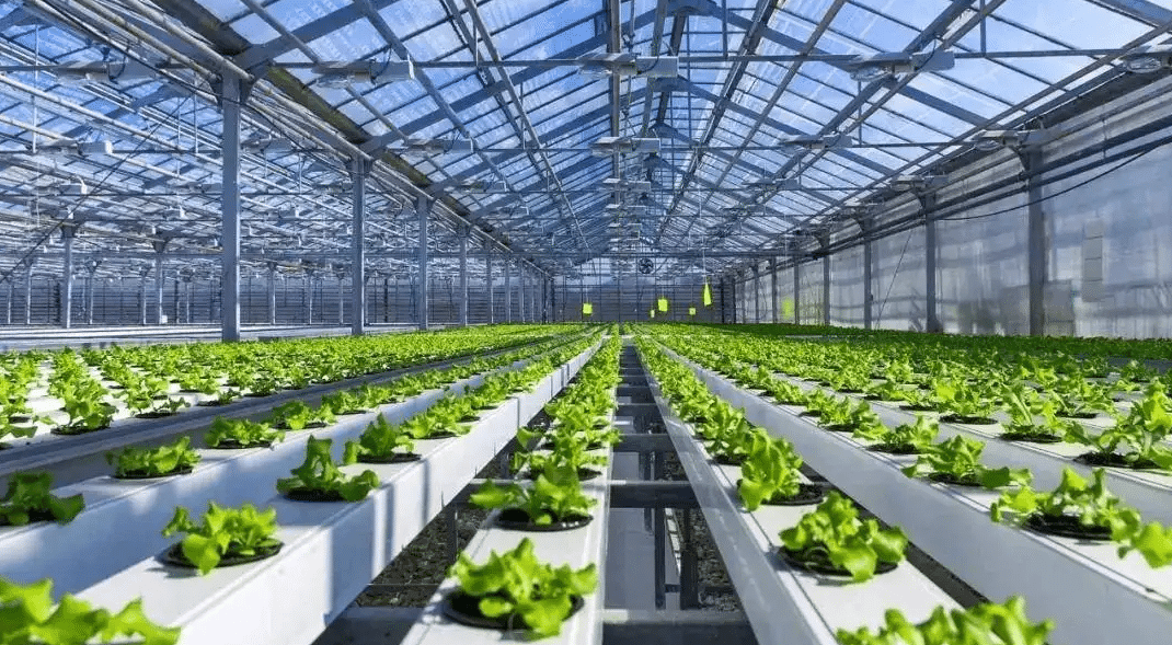 智能溫室大棚的技術優(yōu)勢