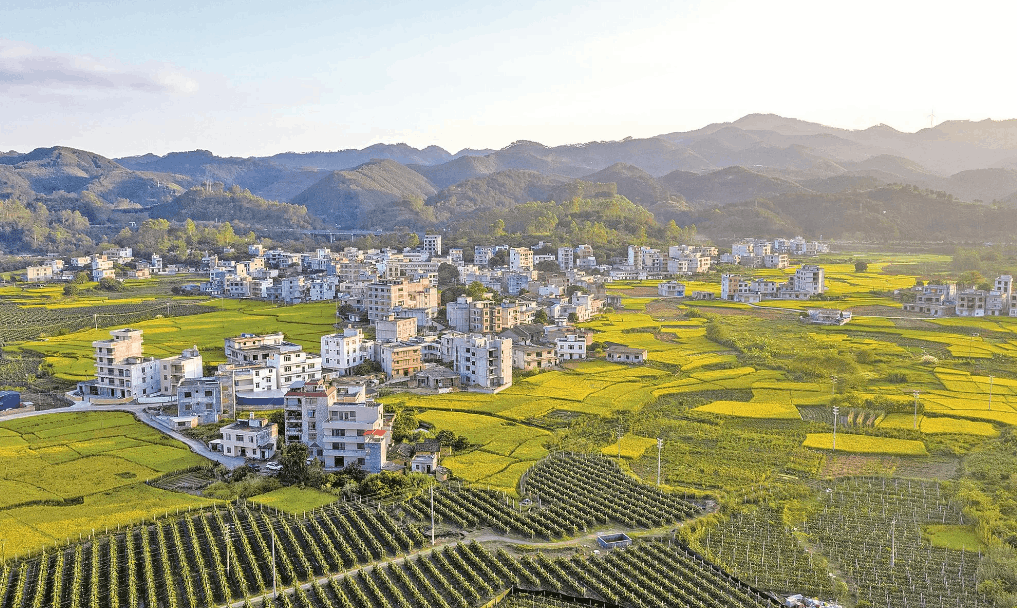 城鄉融合一體化