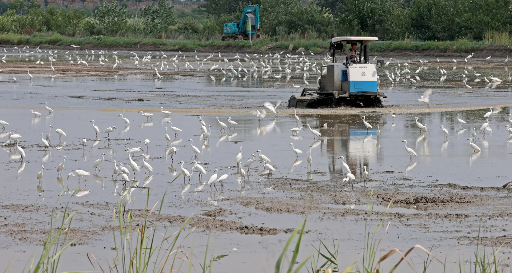 農(nóng)業(yè)耕作機械