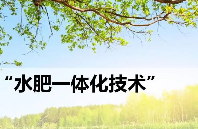 水肥一體化系統(tǒng)應(yīng)用中常見(jiàn)的堵塞問(wèn)題