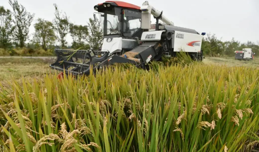 水稻農機