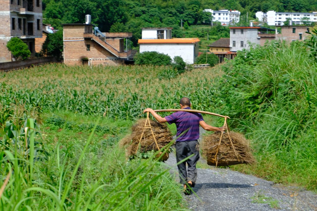 播種“智慧農業”,綻放青春之花