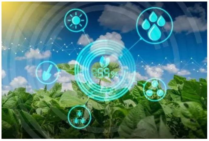 標準化種植管理為核心