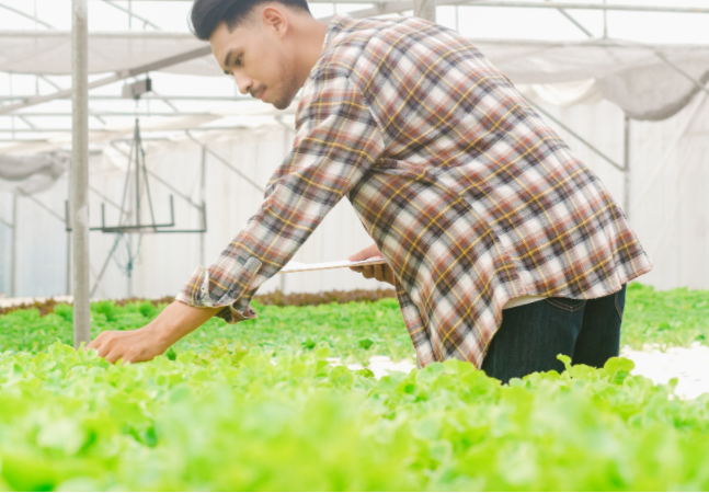 世界前列的現代農業新模式