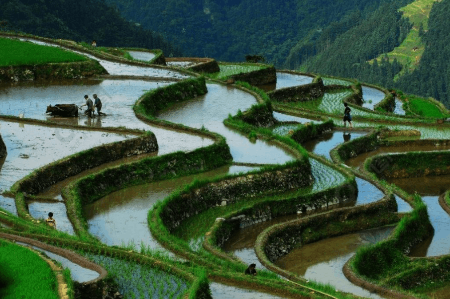 大數據在農業中應用最普遍的領域之一就是精準農業