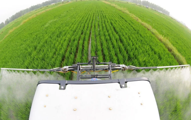 國家大宗蔬菜產業技術體系專家的指導下,我們做到了工廠化、標準化、智能化,流水線作業