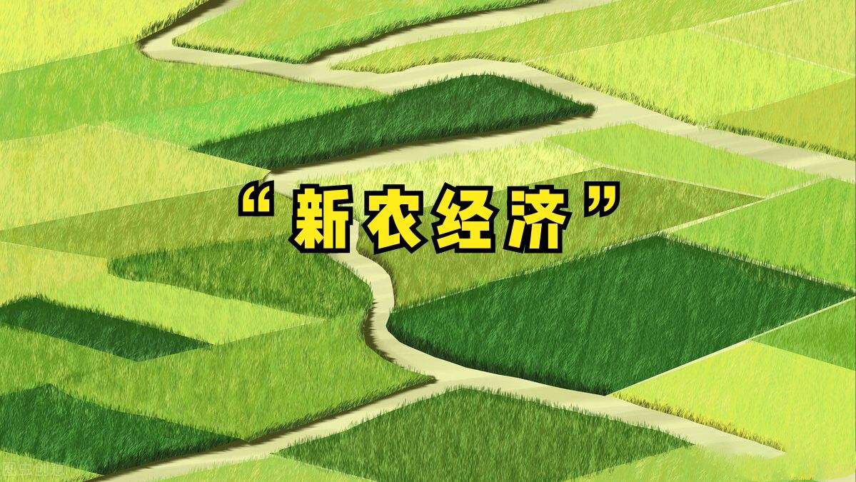 “數(shù)字引擎”激發(fā)鄉(xiāng)村活力 重慶大力推進(jìn)數(shù)字鄉(xiāng)村建設(shè)