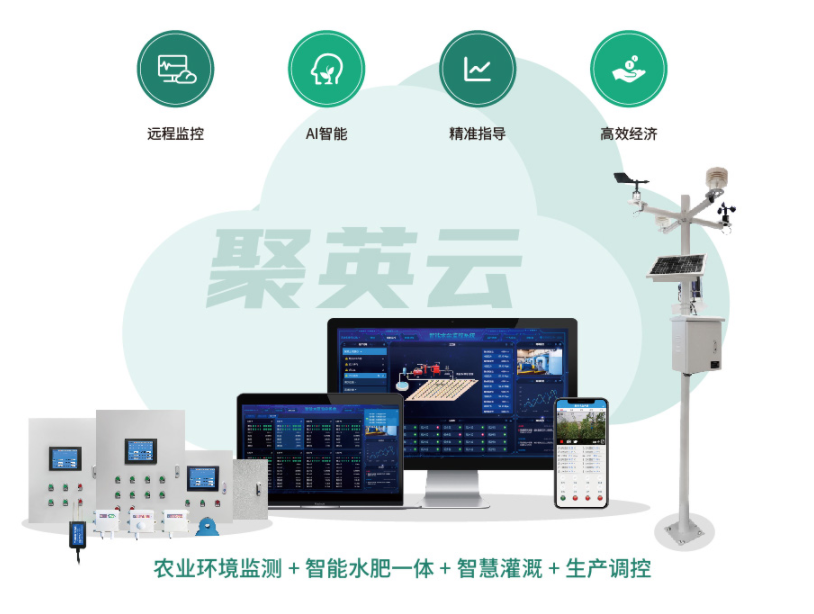 溫室的主要功能是為植物、蔬菜和水果提供適應生長的環境