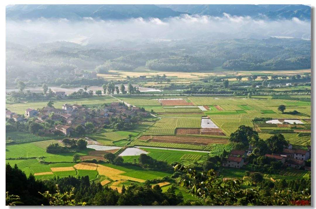 數(shù)字鄉(xiāng)村呼喚更多新農(nóng)人