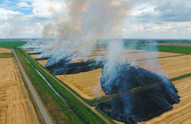 天津寶坻區(qū)：打好污染防治攻堅戰(zhàn) 擦亮生態(tài)底色