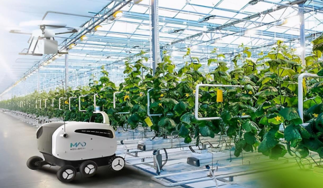 需要不斷提高社會(huì)各方面的技術(shù)標(biāo)準(zhǔn)來規(guī)范和促進(jìn)物聯(lián)網(wǎng)產(chǎn)品的規(guī)模化、標(biāo)準(zhǔn)化生產(chǎn)和應(yīng)用