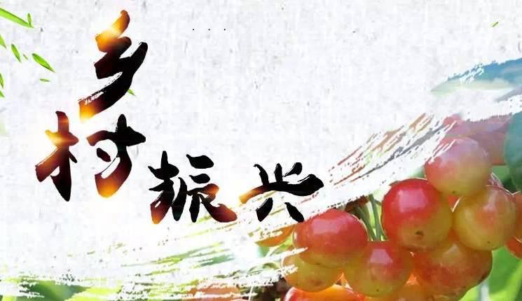 為首都鄉(xiāng)村振興注入數(shù)字動能